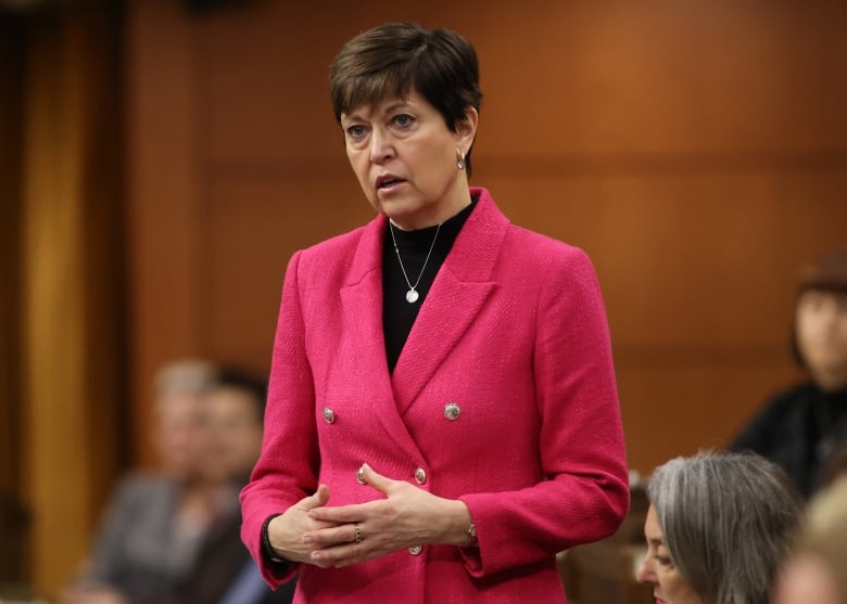 Parliamentary Secretary to the Minister of Foreign Affairs (Consular Affairs) Pam Damoff rises during Question Period in the House of Commons on Parliament Hill.