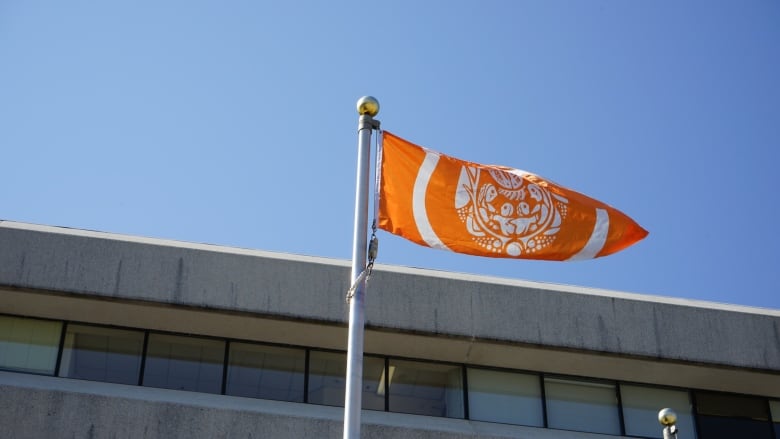 A flag in the wind.