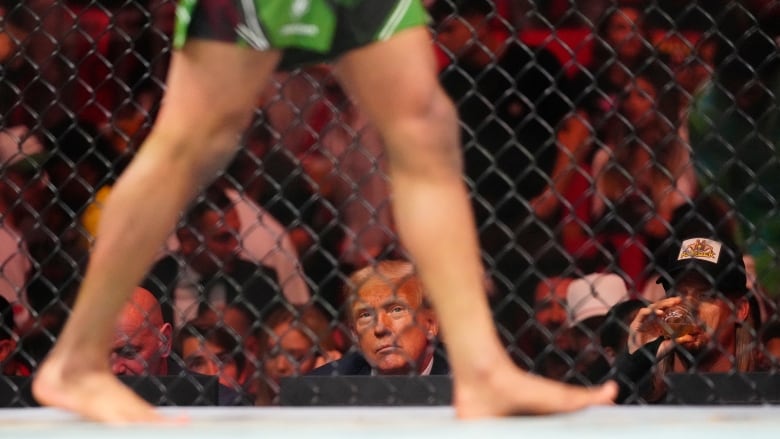 Trump watching a fight through a cage