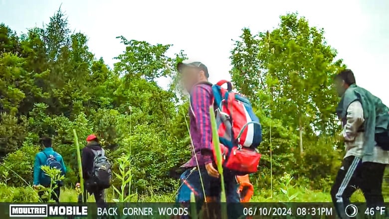 Security camera footage shows four migrants, with faces blurred, crossing from Canada to the U.S.