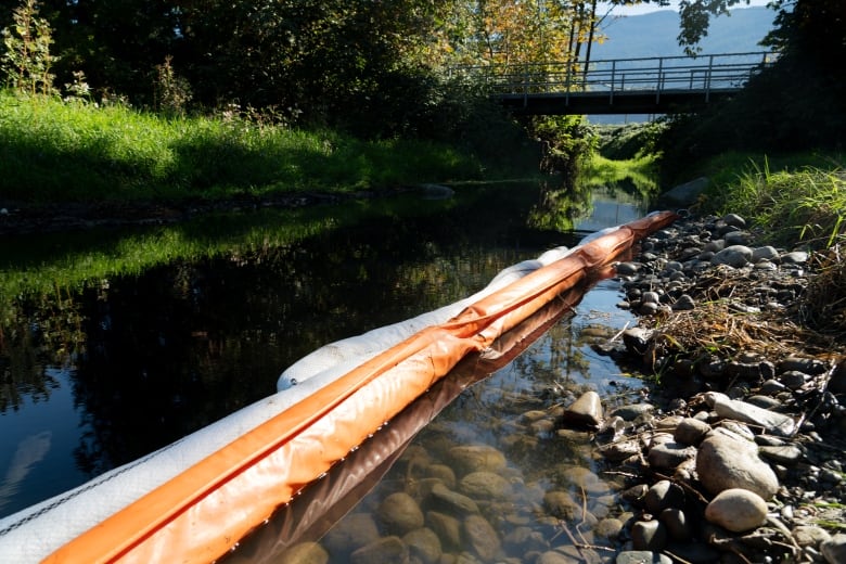 A long cylindrical object lies across a waterway on a sunny day.