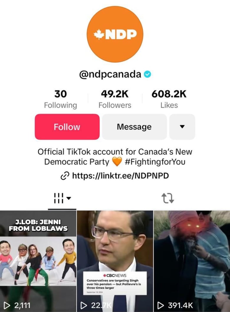 A screen grab of the NDP's TikTok account, which its national director says was reactivated this spring. TikTok is banned on all government devices over security concerns that the app could put phones at risk of cyberattacks.