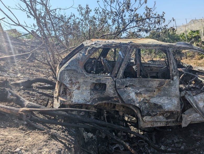 The remains of a burned out vehicle sits empty amid trees.