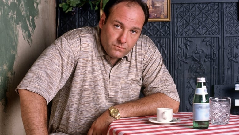  James Gandolfini in The Sopranos.