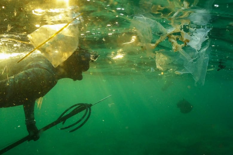 An underwater photo showing a diver swimming amongst plastic bags.