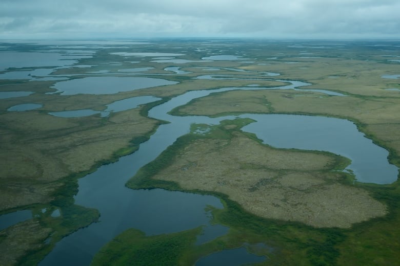 A vast landscape of water and tundra seen from above.