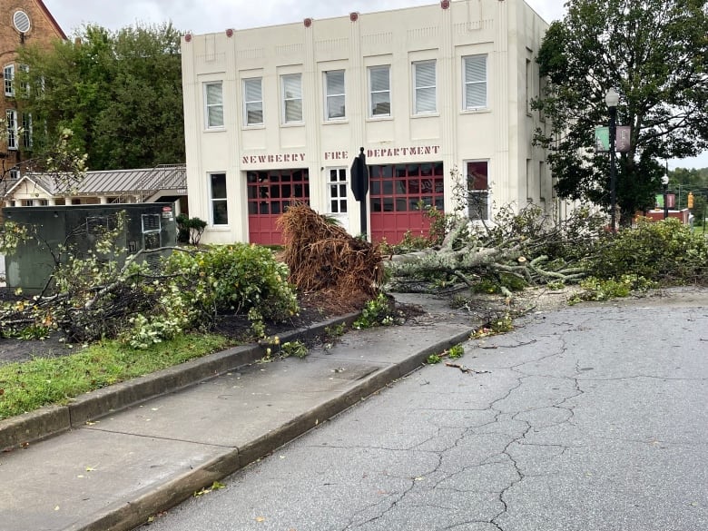 A tree is laying on the ground, across a street, with roots exposed.