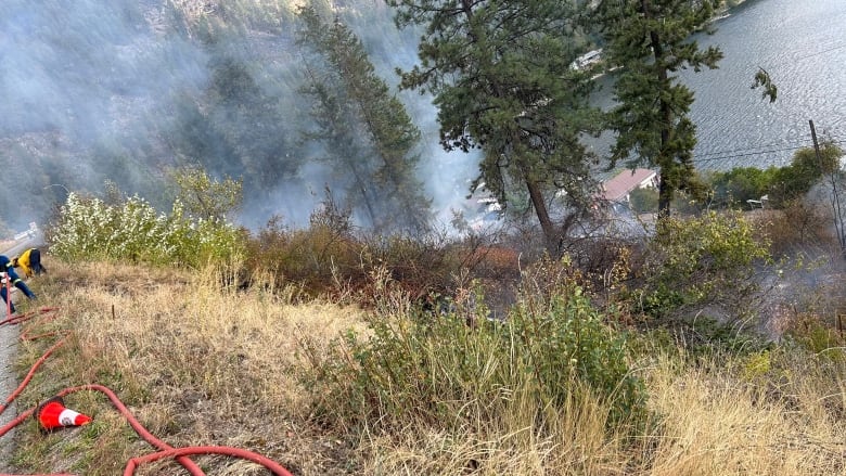 smoke near a lake