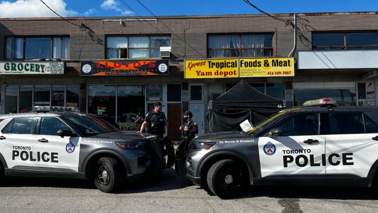 Photo of police cars outside businesses in downtown Toronto