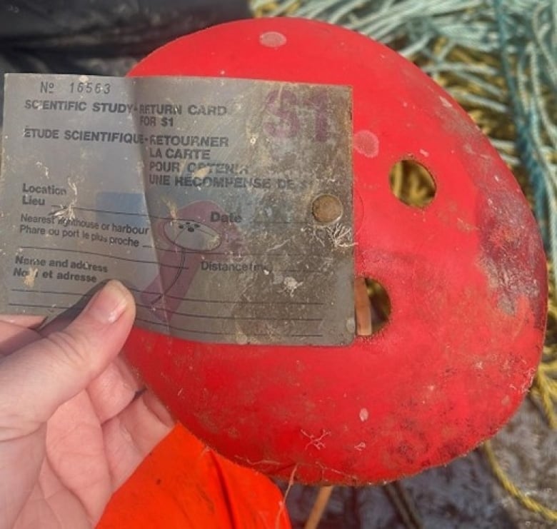 Orange buoy with hand holding scientific study return card in front of it.