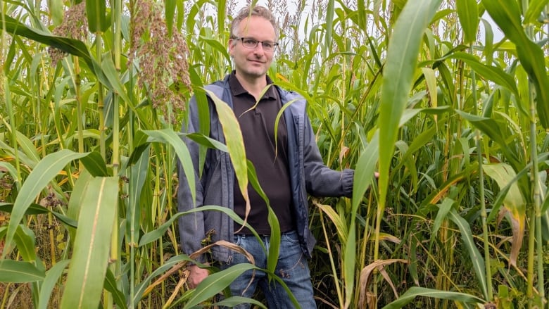 Man standing in long grass.