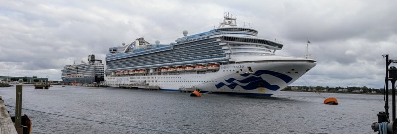 A huge white cruise ship is pulled up next to a pier, with a smaller ship visible to its rear. 