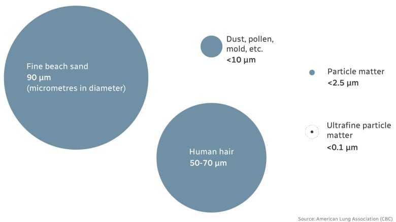 Diagram showing relative sizes of different particles as blue-grey circles