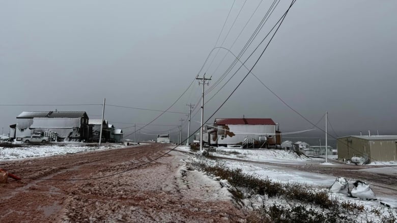 downed power lines