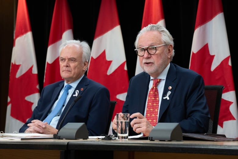 Senate Foreign Affairs and International Trade Committee chair Peter Boehm (left) listens as deputy chair Senator Peter Harder speaks to reporters while seated at the front of the National Press Theatre in Ottawa. 