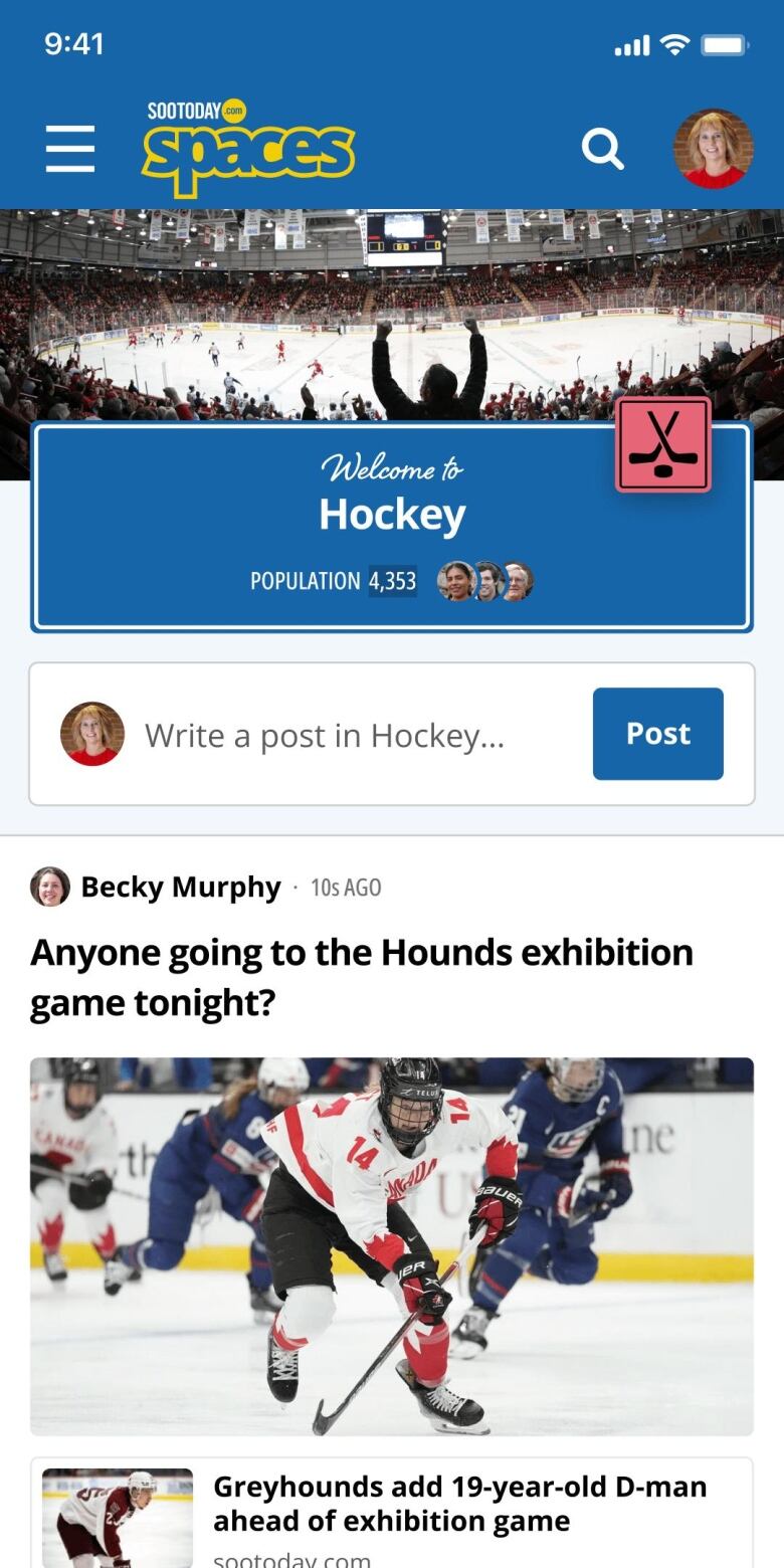 Pictured here is an example of an online space dedicated to hockey.