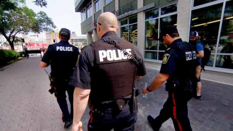 Three police officers walk together, seen from the back.