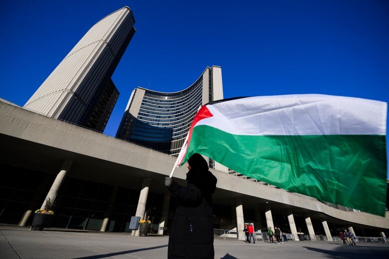 A person waves a red, green, white and black flag in front of Toronto city hall.