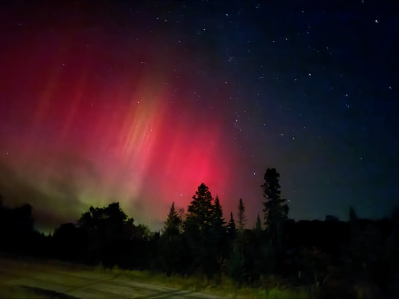 Red and green lights shine in the night sky over the silhouettes of trees.