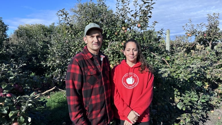 A man and a woman wearing red stand in an apple orchard on a sunny, clear day.