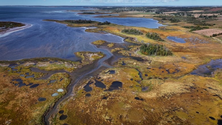 A drone view of a marsh and shoreline