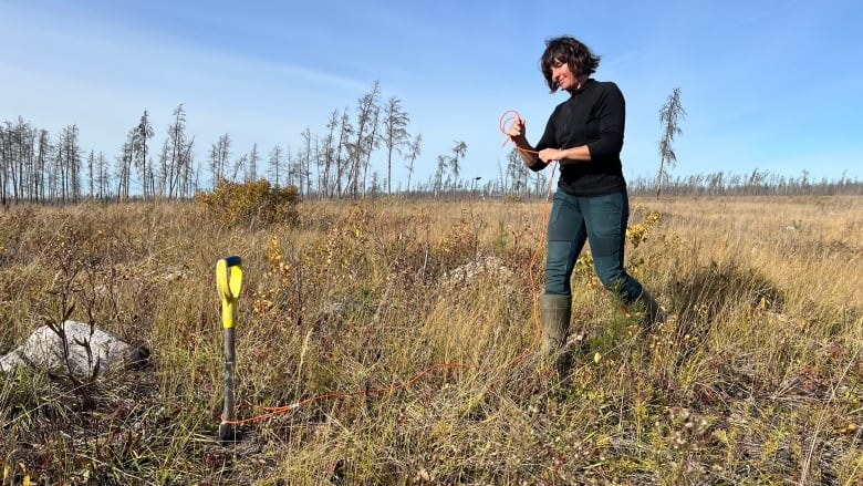 A woman holds a cord on a meadow.