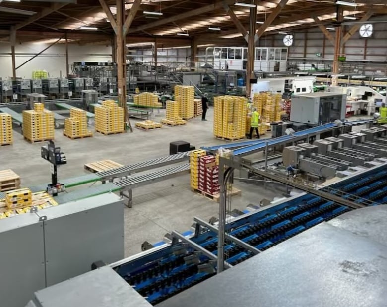 The view of the work floor from above of an industrial looking building with conveyor belts and large machines. 