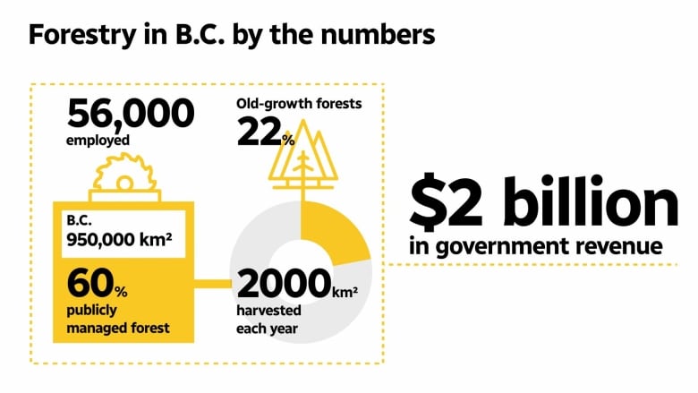 A graphic showing numbers from B.C.'s forestry industry. Nearly 60 per cent of the provinces landmass of 950,000 square kilometres in size is publicly managed forest. Old-growth forests, known for trees at least 250 years-old on the coast and 140 years-old in the Interior, make up around 22 per cent of the annual harvest. The industry employs 56,000 people and provides nearly $2 billion in government revenue. 