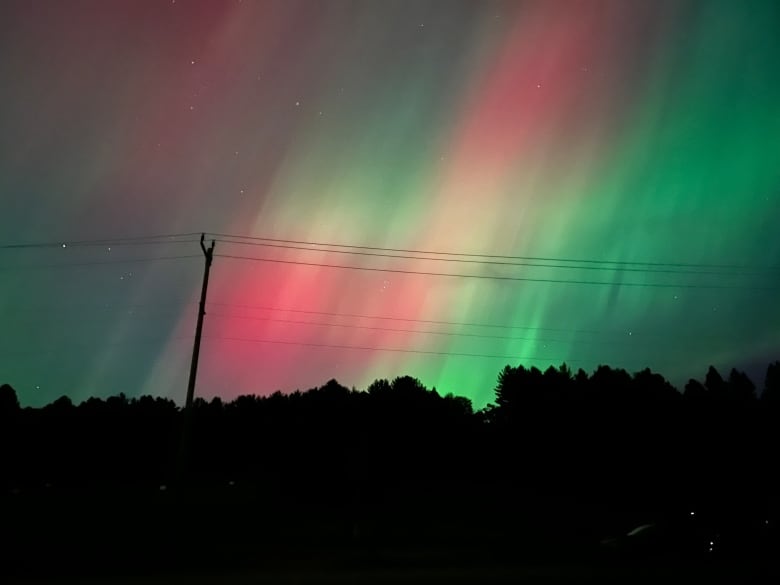 The Northern Lights streak across the night sky, green and pink, above the silhouette of a forest and telephone pole.