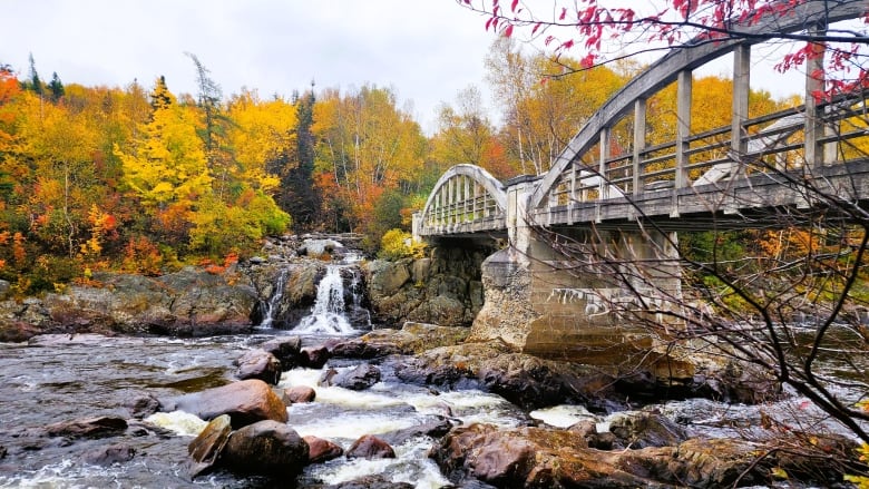 A bridge over a babbling brook in fall.