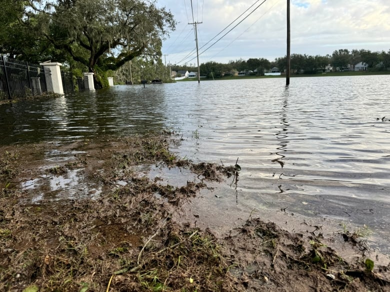 Water is much higher than normal.