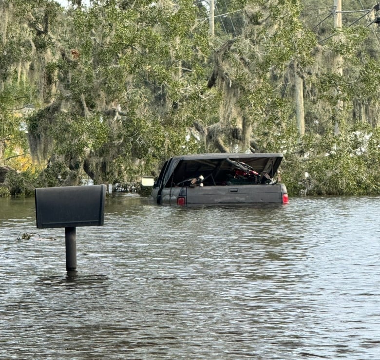 A truck and mailbox are surrounded by water.