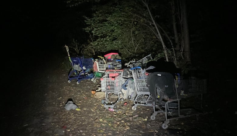 Several shopping carts are strewn amid garbage on the side of a pathway. It is dark.