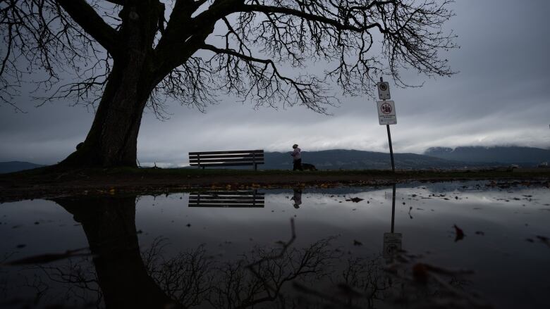 A woman walks her dog in the rain at Locarno Beach in Vancouver, B.C., Saturday, Nov. 11, 2023. 