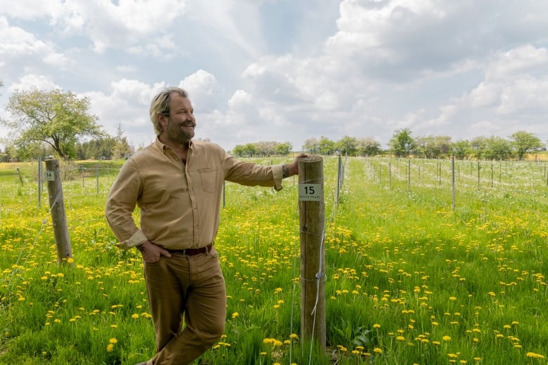 A man stands in a field