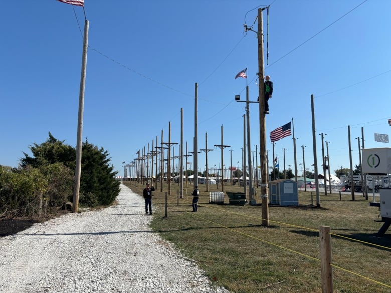 A long row of utility poles 