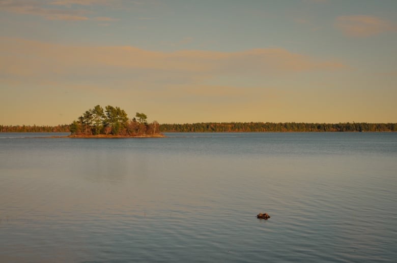 Oromocto Lake on Thanksgiving Sunday.