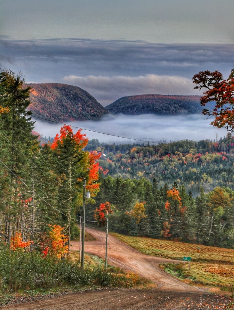 Hills and trees