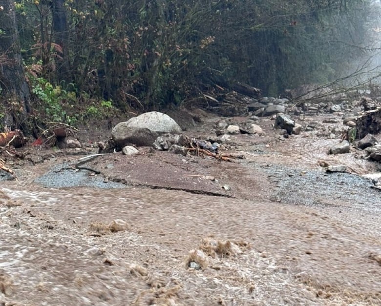 Muddy water is seen flowing through a treed area. 