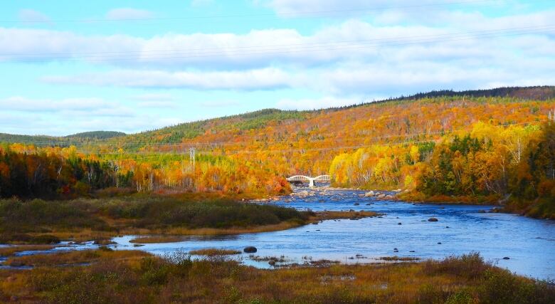 A look at a slope covered in trees turning yellow, orange and red.