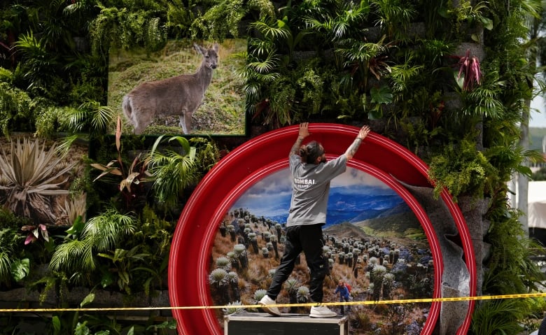 A man prepares an exhibit.