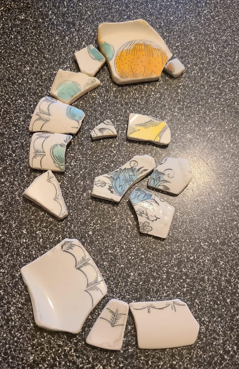 pieces of a plate with a design on them 