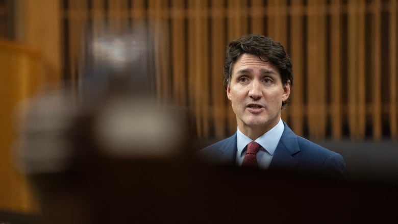 Prime Minister Justin Trudeau rises during question period in Ottawa on Wednesday, Oct. 23, 2024.