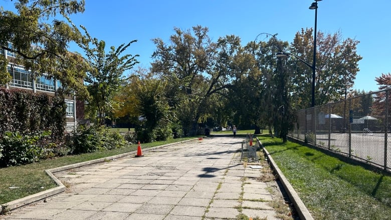 This derelict strip of land along Alexandra Park's eastern edge, was left out of the city's upgrade plans for the park, an oversight that has upset some neighbours.