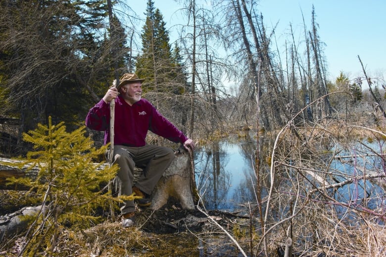 A man in a burgundy sweater is seated while holding a tree branch and looking out at a body of water.