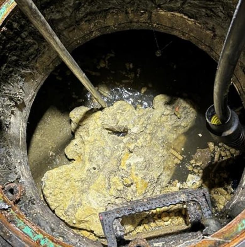 Yellowish-brown hardened fat being extracted out of a sewer.