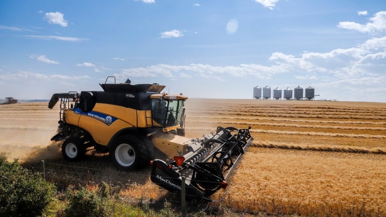 a combine tractor rolls over a wheat field with a big blue sky in the background