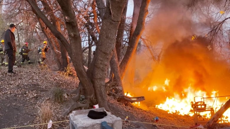 Firefighters spray water on flames covering a wooded area. 