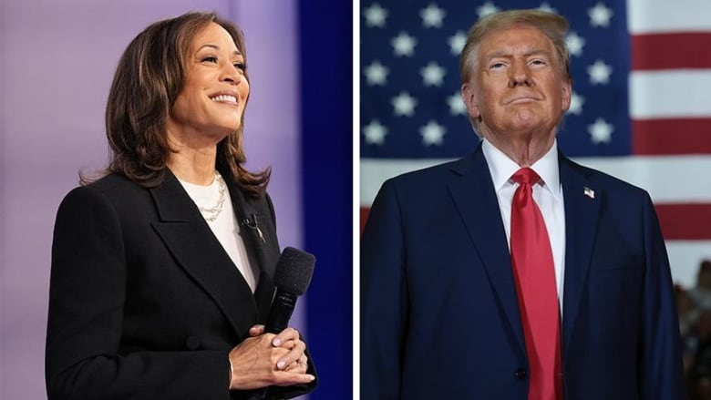 In two separate images, Kamala Harris, smiling, holds a microphone. Donald Trump smiles in front of a large American flag.