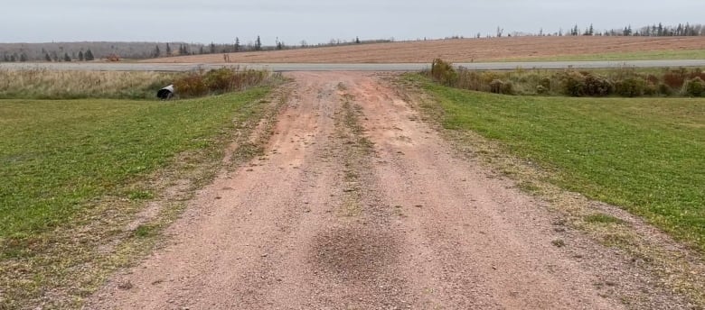 A gravel driveway with grass on either side. There is a dark circle in the centre of the driveway.